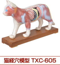 猫経穴模型TXC-605