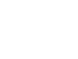 中国製脊椎模型模型