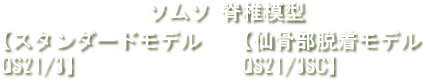 ソムソ脊椎模型