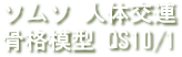 ソムソ人体交連骨格模型QS10/1