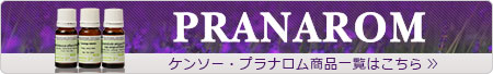 プラナロム一覧